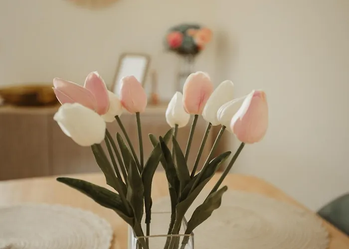 Appartamento Baluarte De Pozos Caces