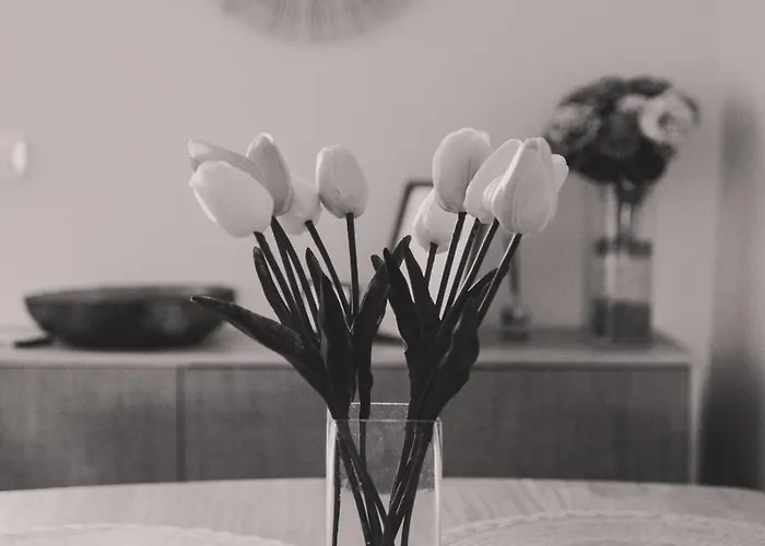 Baluarte De Pozos Appartamento Caces